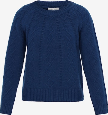 UshaPulover - plava boja: prednji dio