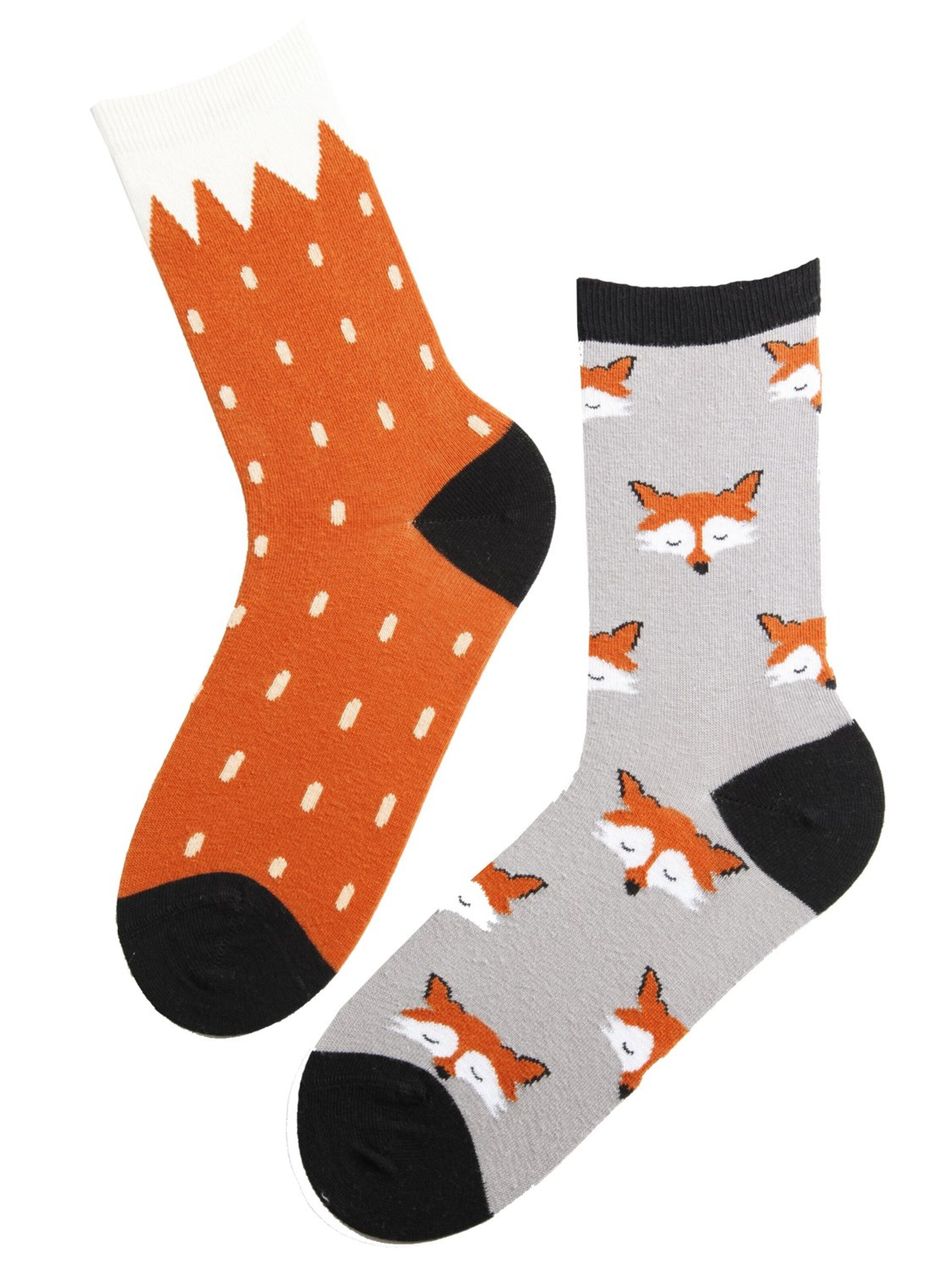 Sokisahtel Sokken 'FOX cotton socks' in Gemengde kleuren
