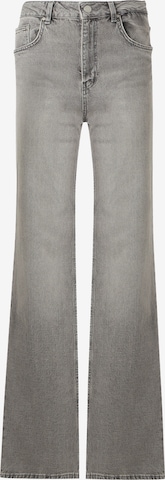 LTB Дънки 'DANICA' в сиво: отпред