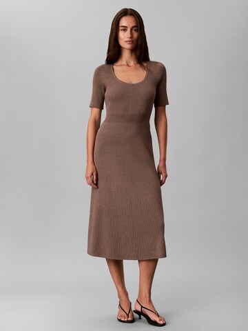 Calvin Klein Dress in Brown: front
