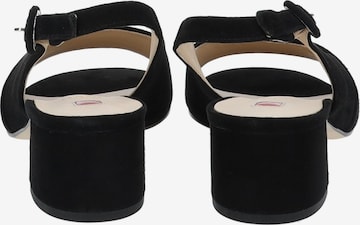 Högl Sandalen met riem in Zwart