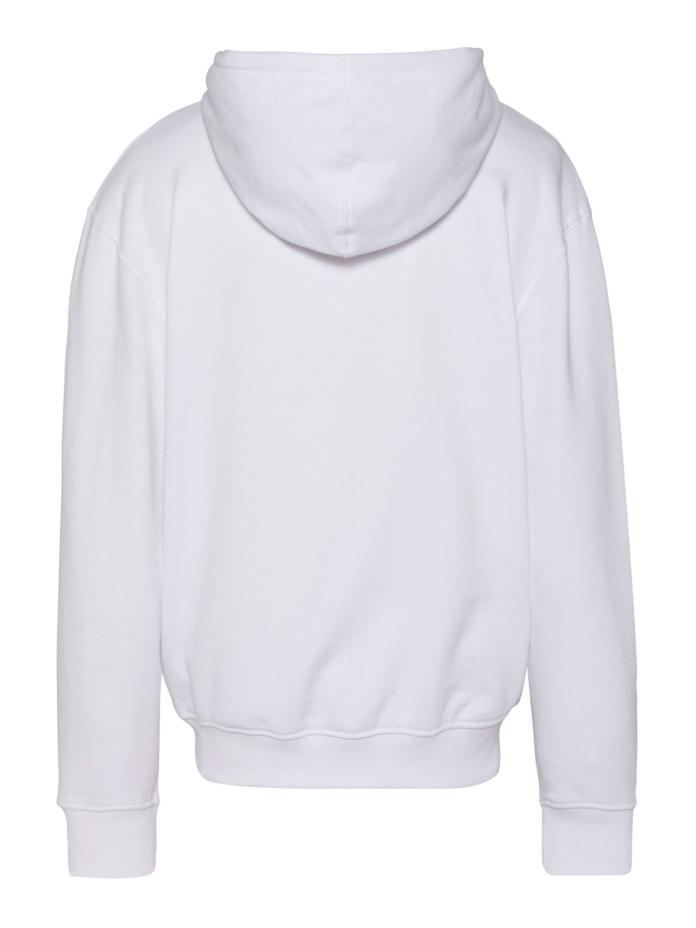 Schott NYC Sweatshirt in White