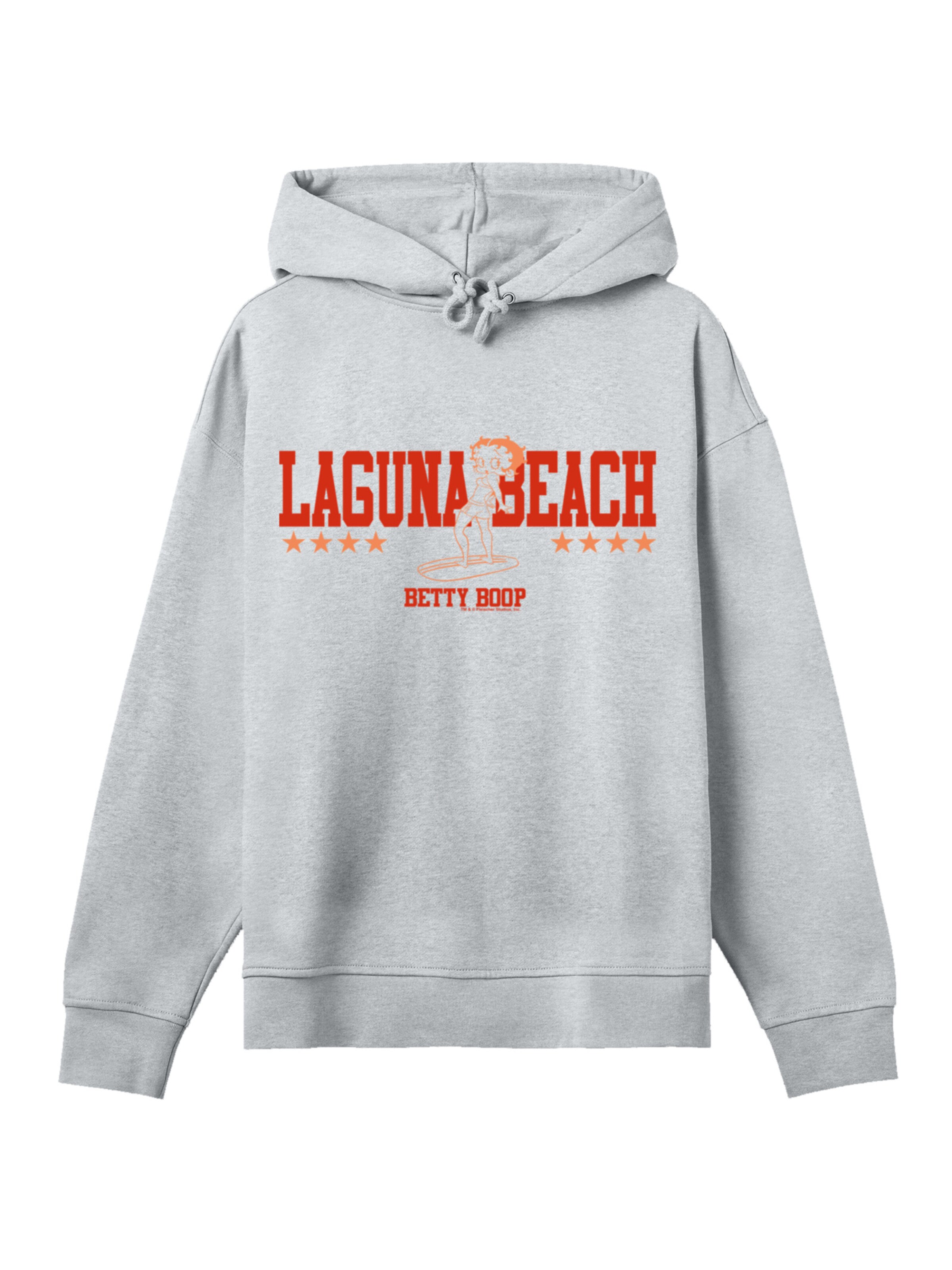 F4NT4STIC Sweatshirt in Grey: front