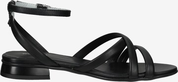 Nero Giardini Strap Sandals in Black