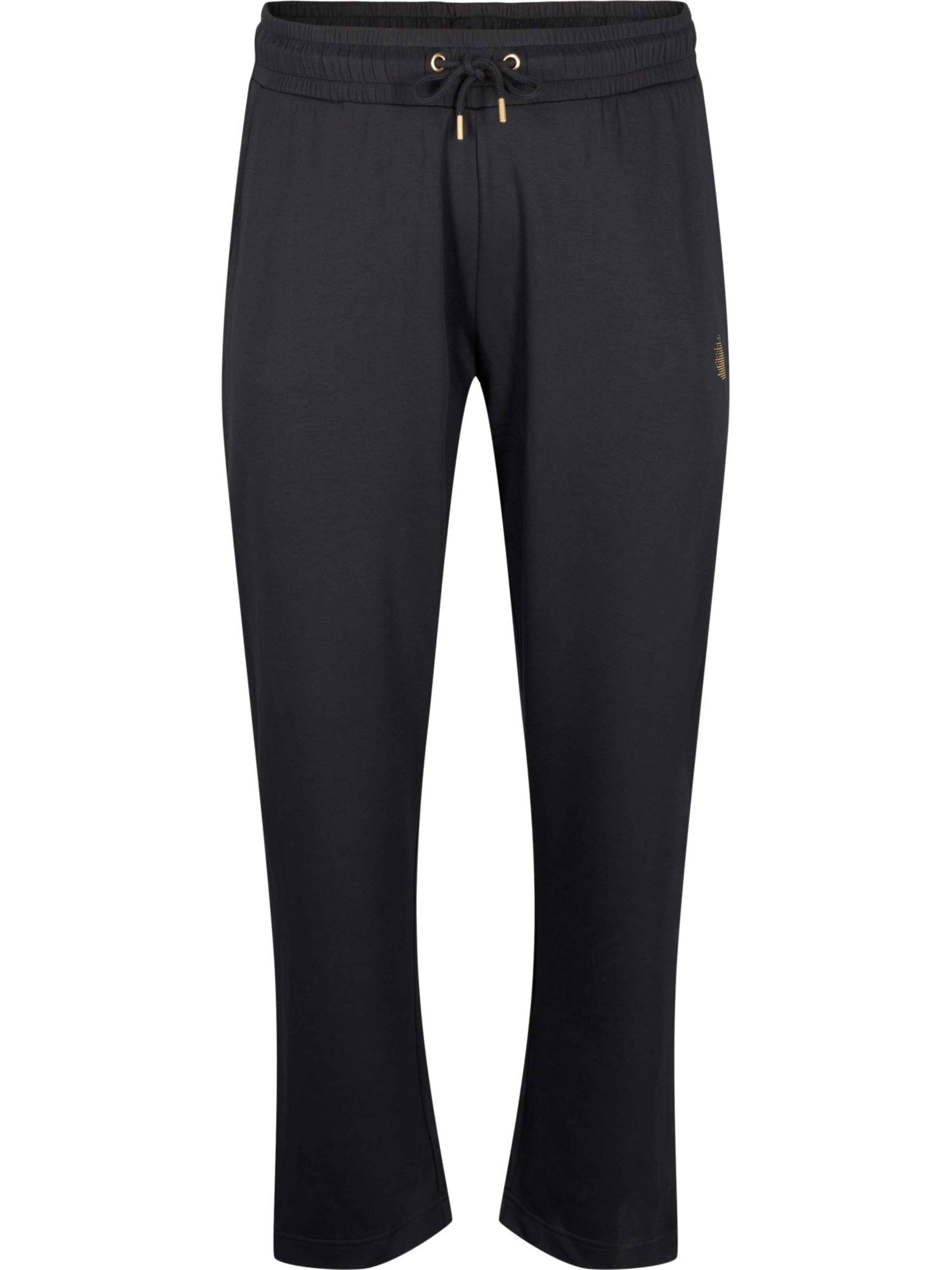 Active by Zizzi Regular Trousers 'AHUNE' in Black: front