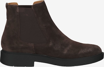 GEOX Stiefelette in Braun