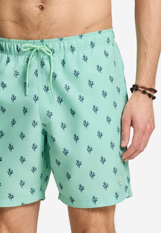 Shorts de bain Shiwi en vert