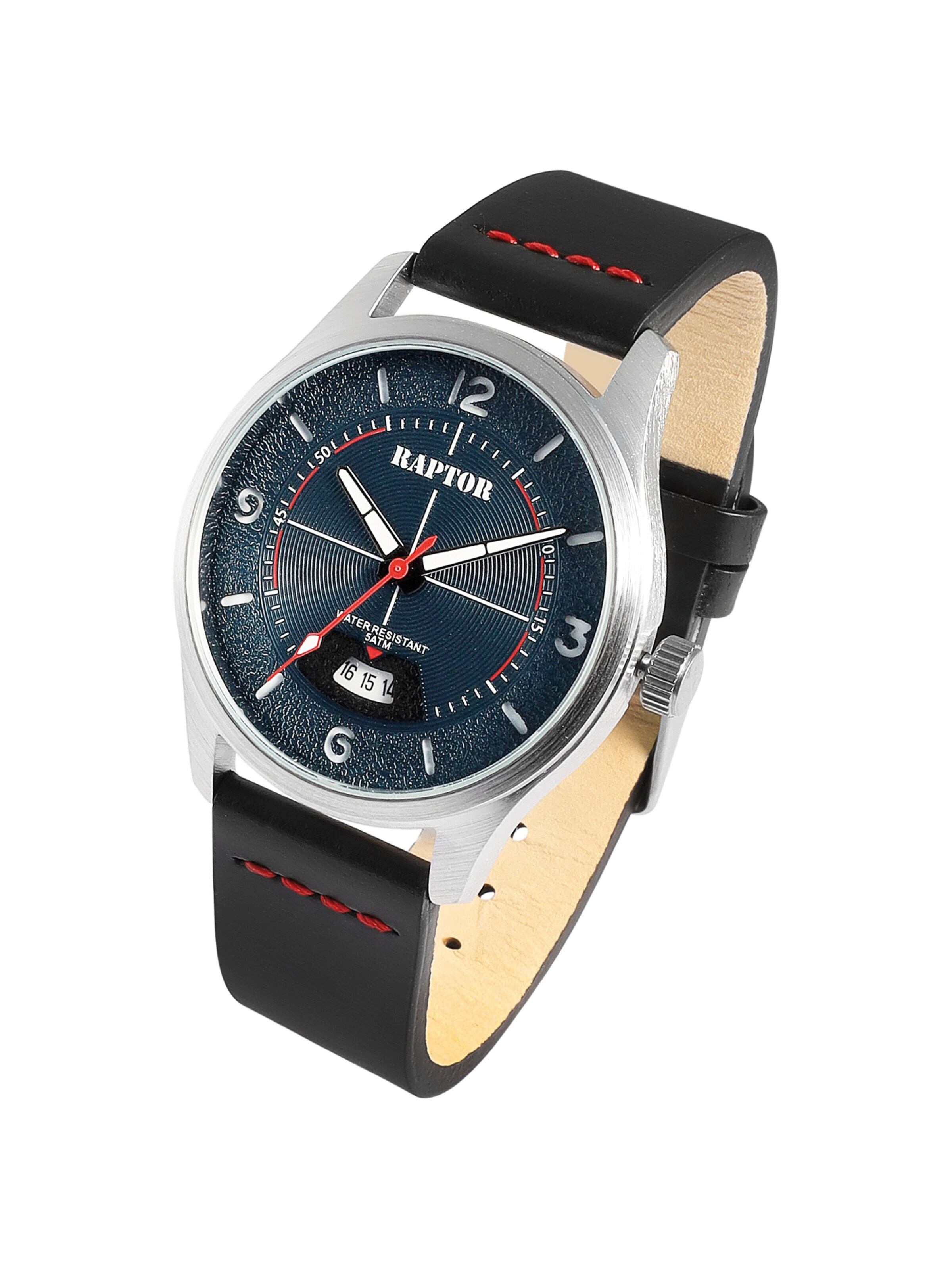 Raptor Analog Watch 'Falkor, Datumsanzeige' in Black: front