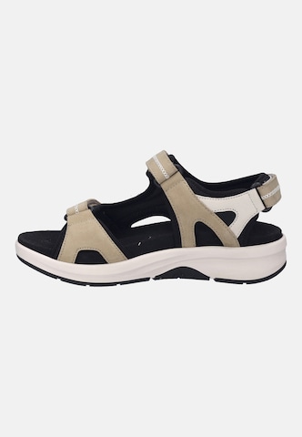 JOSEF SEIBEL Sandaal 'ESTELLE 02' in Beige