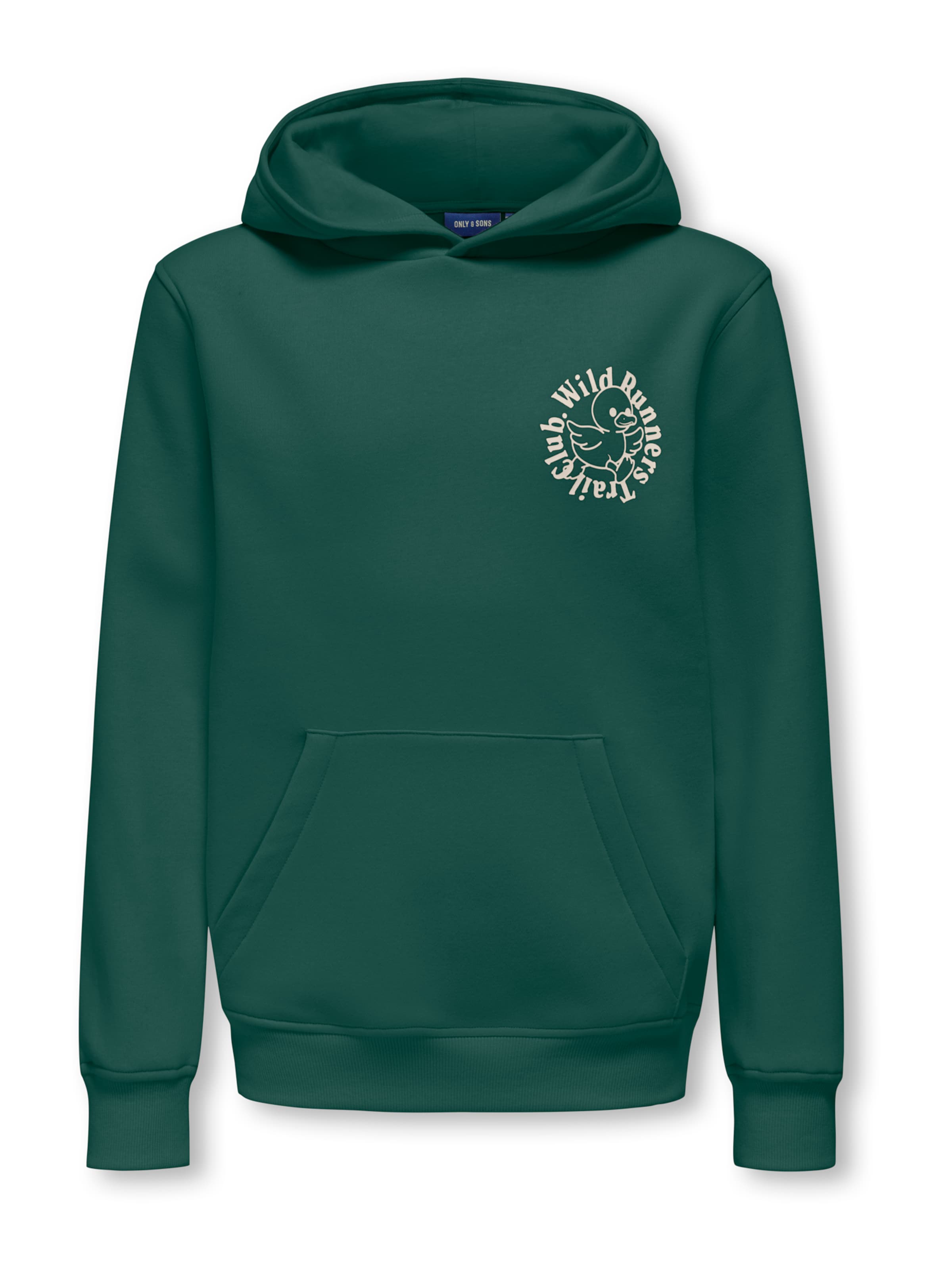 Only & Sons Junior Суичър 'OSJDaniel' в зелено: отпред