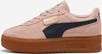 Baskets basses 'Palermo Elevata' PUMA en rose : devant
