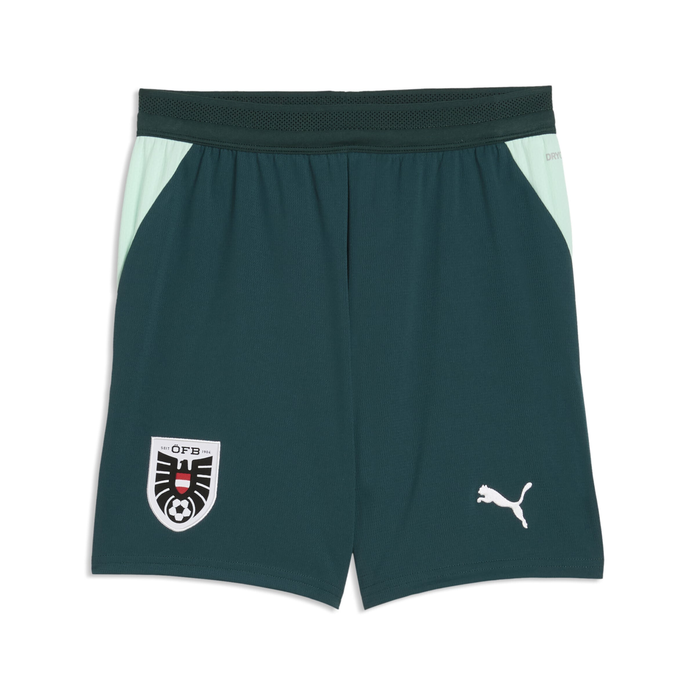 PUMA Regular Sportbroek 'Österreich 2026' in Groen: voorkant
