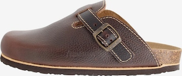 DR. BRINKMANN Clogs 'Nerpio' in Braun: Vorderseite