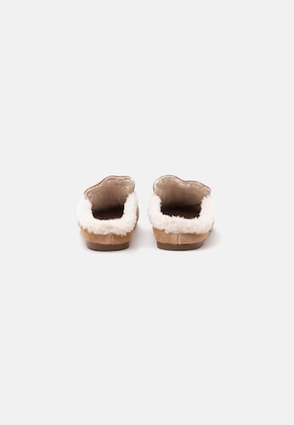 STEVE MADDEN Klapki 'Rafe-F' w kolorze brązowy