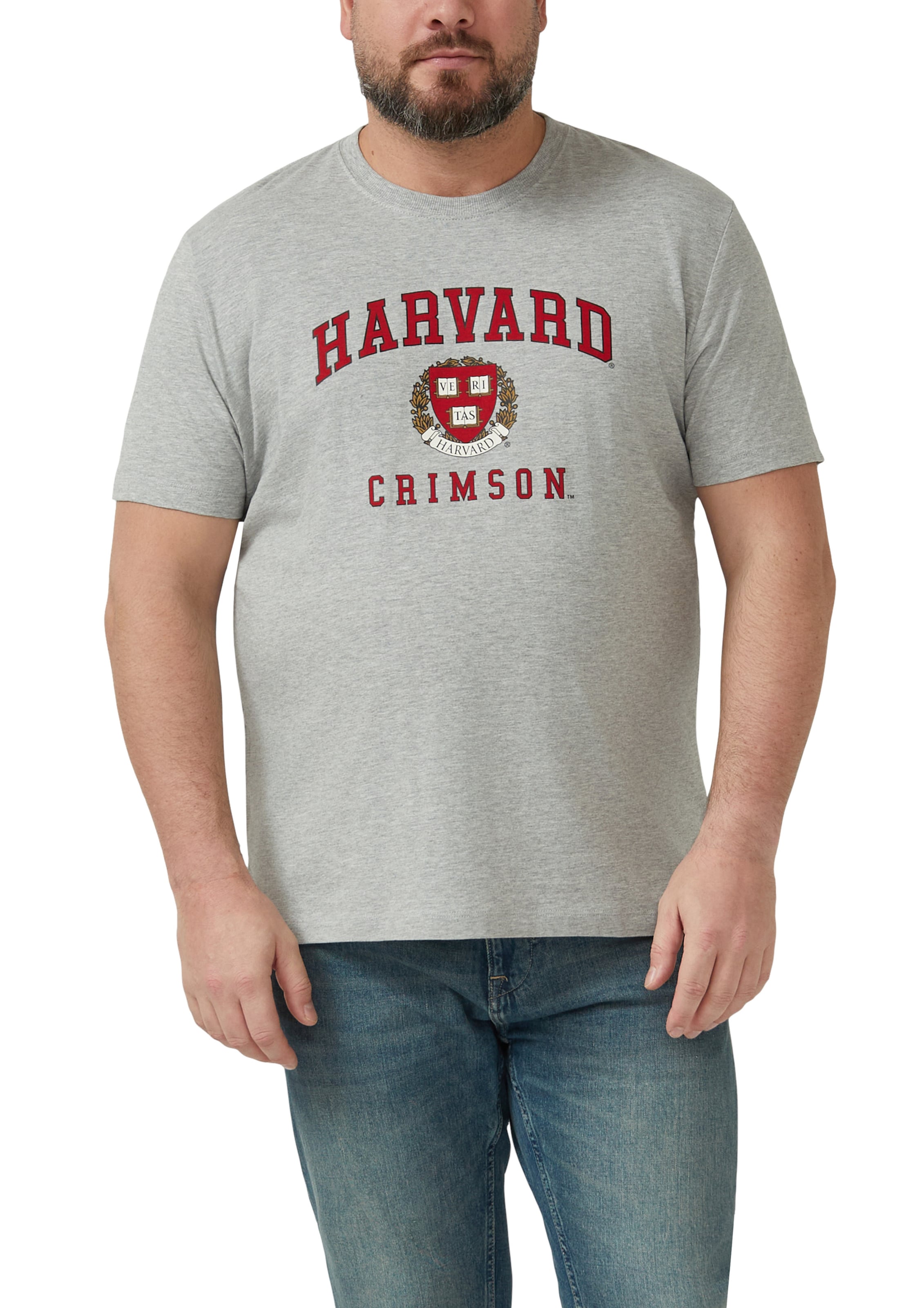 s.Oliver Shirt in Grey