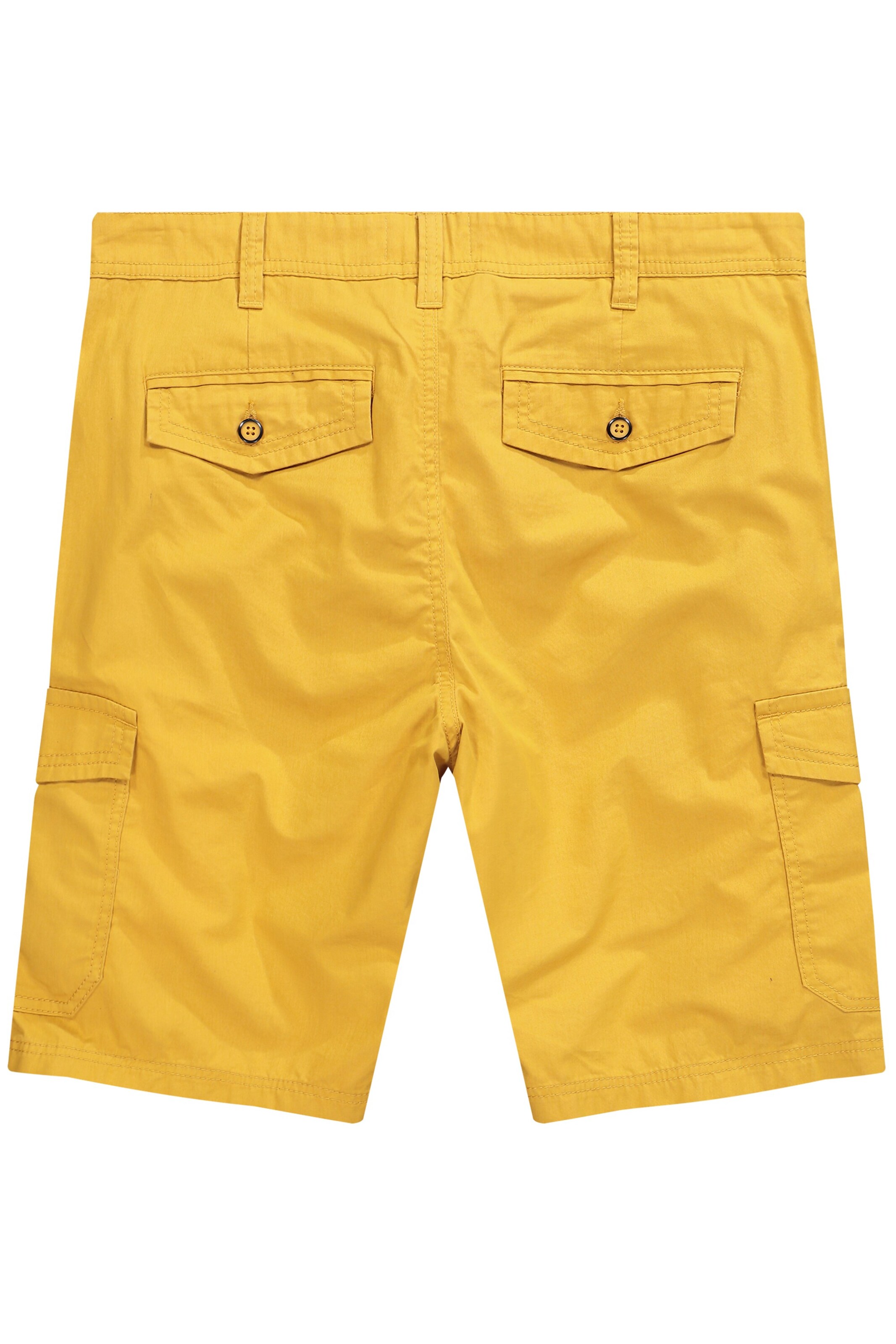 Boston Park Regular Pants in Yellow