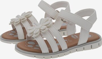 Sandales 'Calista' CHICCO en blanc