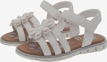 CHICCO Sandals 'Calista' in White