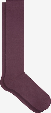 Albero Natur Knee High Socks in Red: front