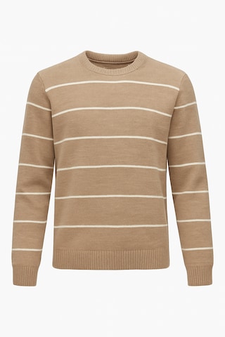 D’S Damat Trui in Bruin