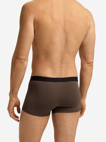 Hanro - Boxers ' Micro Touch ' em castanho