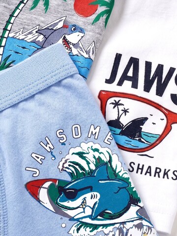 ÖTS Unterhose 'ÖTS Herren-Boxershorts'‌‌ in Mischfarben