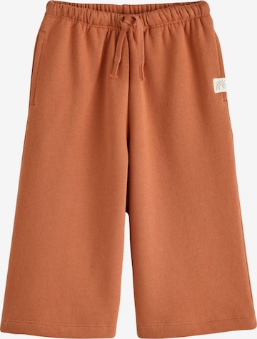 Pantalon Next en marron : devant