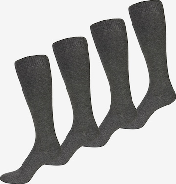 Chaussettes montantes Nur Der en gris