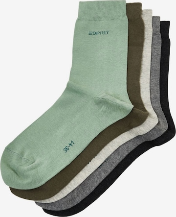 Chaussettes ESPRIT en mélange de couleurs : devant