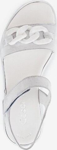 GABOR Sandals in Grey