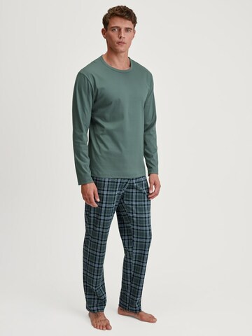 CALIDA Long Pajamas in Green