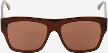 HAWKERS - Gafas de sol en marrón