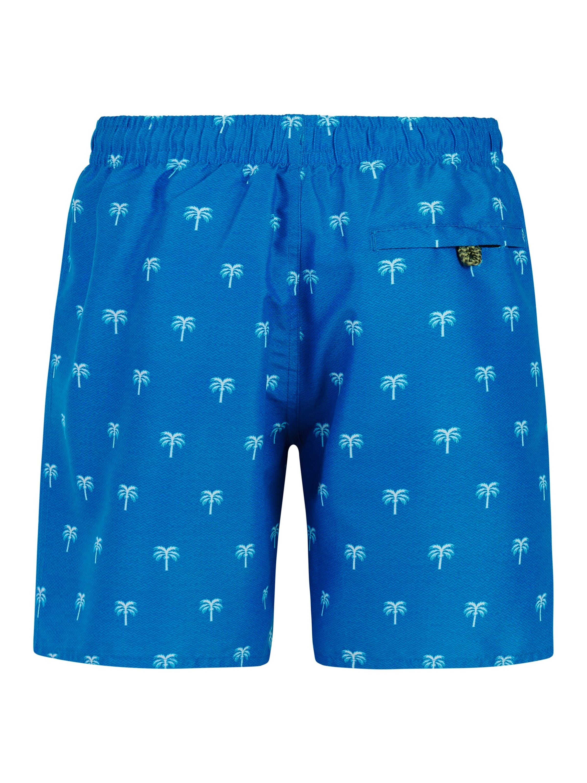 PROTEST Board Shorts 'PRTCalvin JR' in Blue
