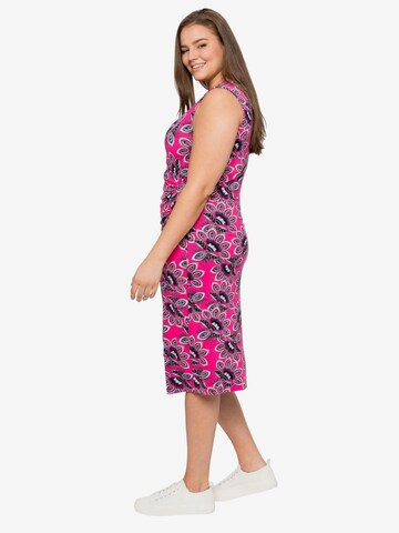 sheego by Joe Browns Dress in Pink