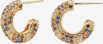 P D PAOLA Earrings 'Saphir' in Gold: front