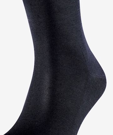 FALKE Socks in Blue