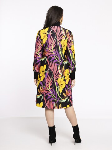 YOEK Dress in Mixed colours
