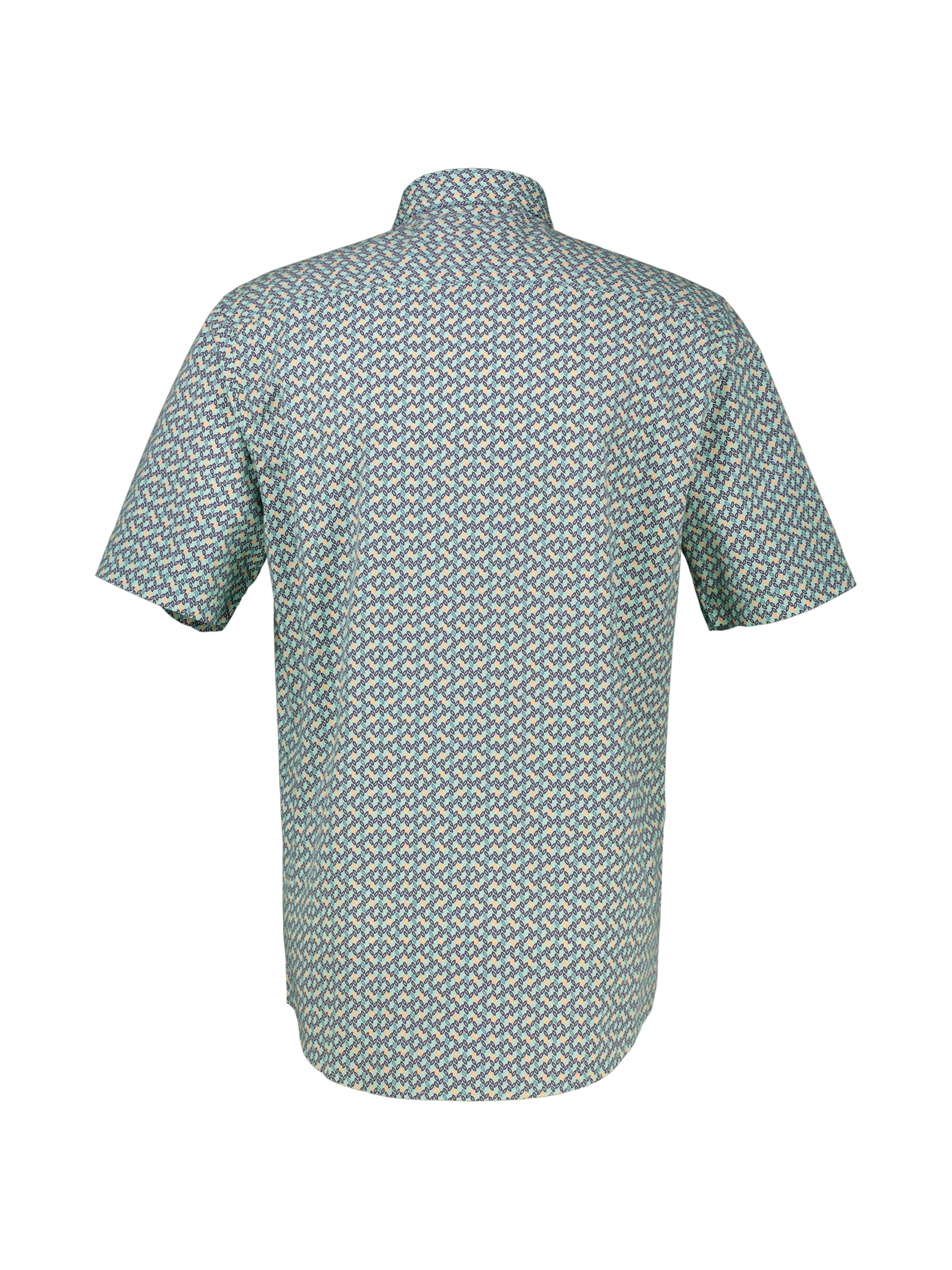LERROS Regular fit Button Up Shirt in Green
