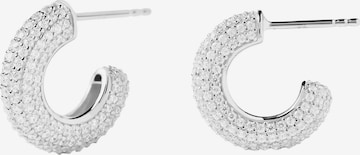 P D PAOLA Earrings in Silver: front