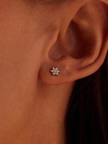 Lucardi Earrings in Silver
