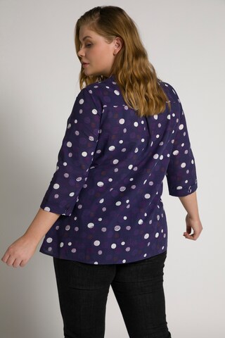 Ulla Popken Bluse (GOTS) in Lila