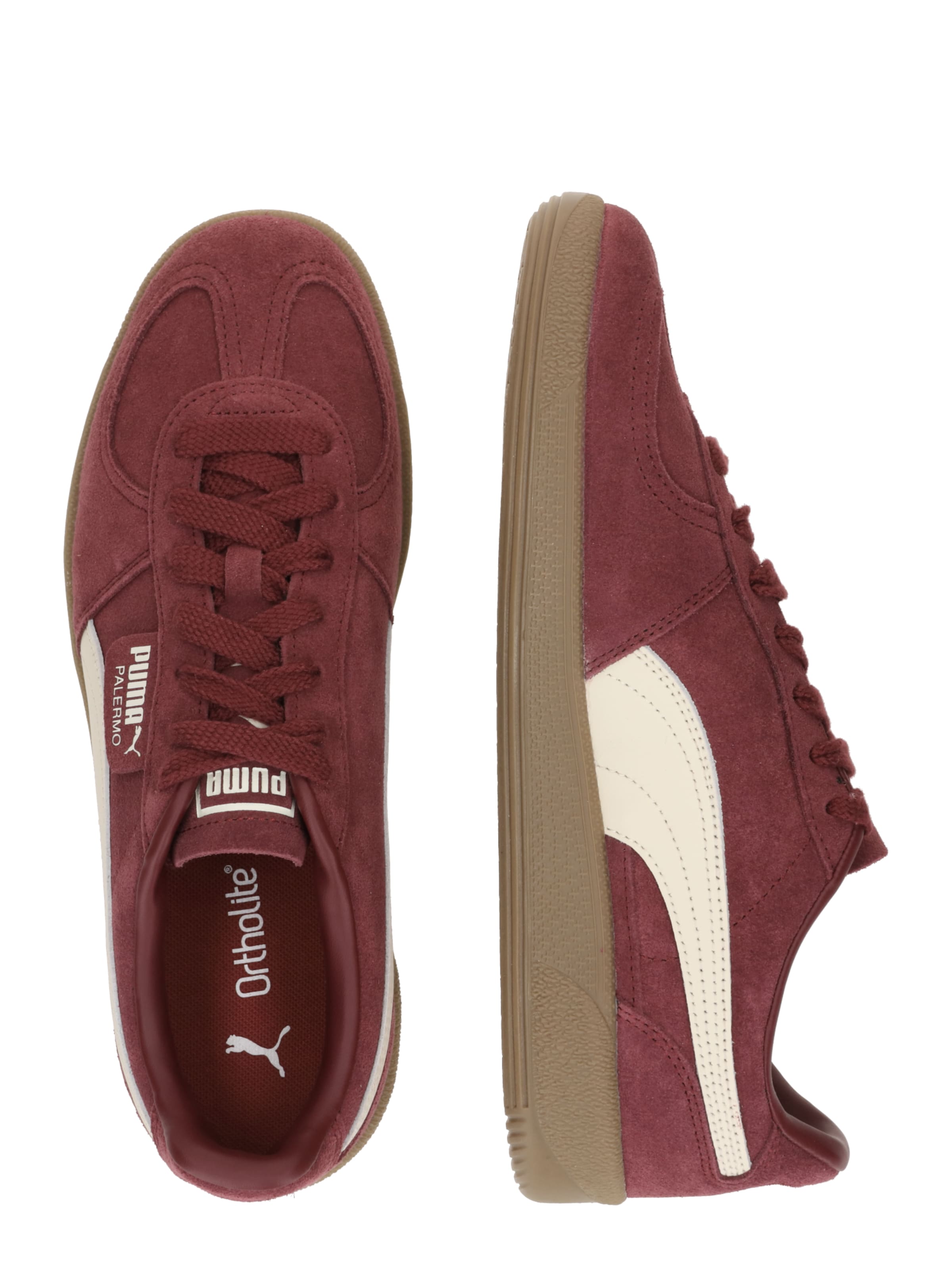 PUMA Sneaker 'Palermo' in Rot