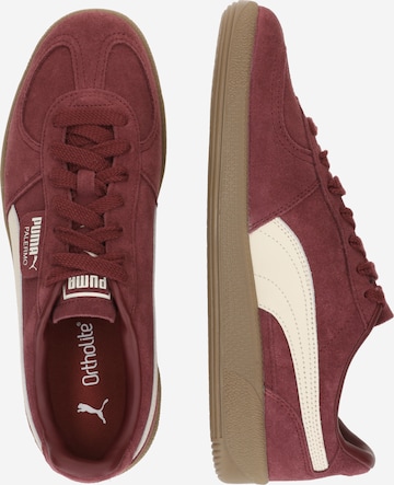 Shoes Burgundy Pumas Quality Puma Palermo Trainers Deporvillage
