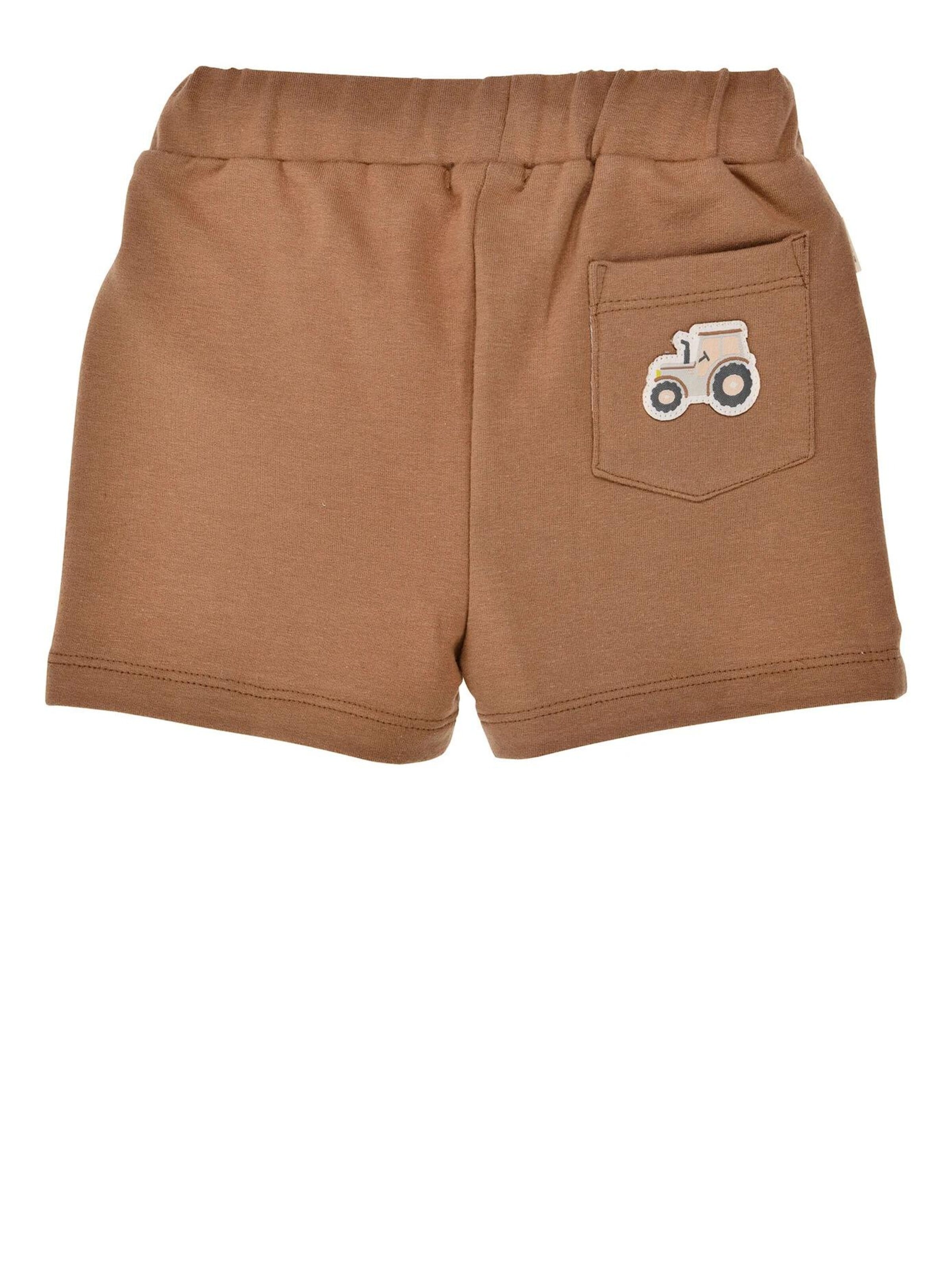 BONDI Regular Pants in Brown