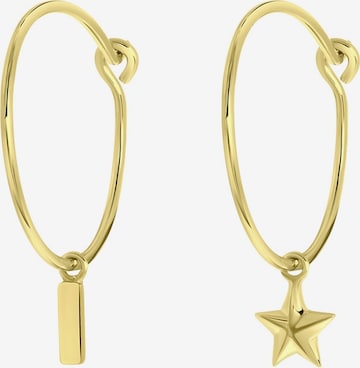 Boucles d'oreilles Lucardi en or : devant