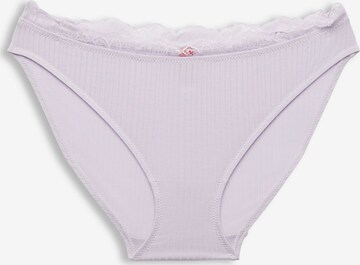 ESPRIT Panty in Purple: front