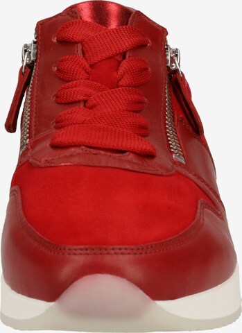 GABOR Sneakers laag in Rood