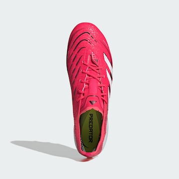 ADIDAS PERFORMANCE Voetbalschoen 'Predator Elite Artificial' in Roze