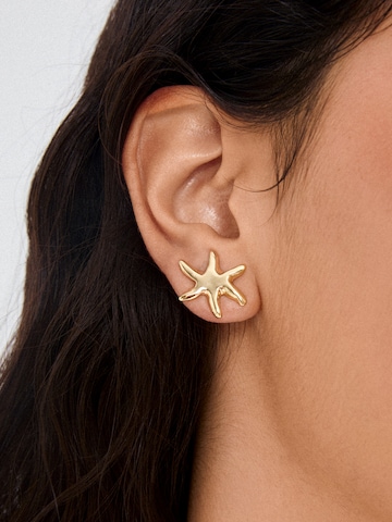 Pilgrim Øreringe ' Prism ' i guld