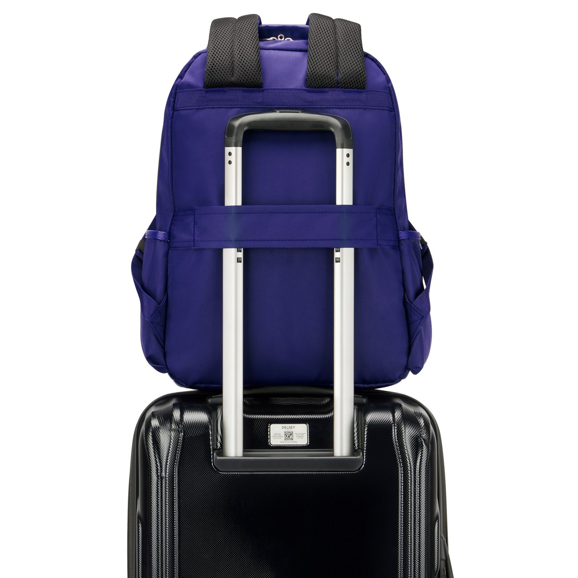 Delsey Paris Backpack in Purple